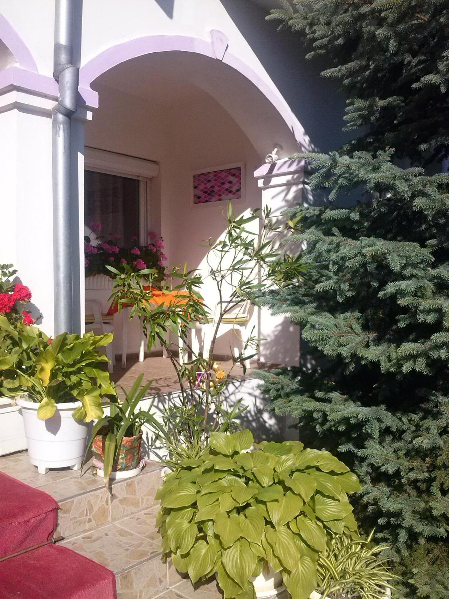 Pension Ovari Bük Extérieur photo