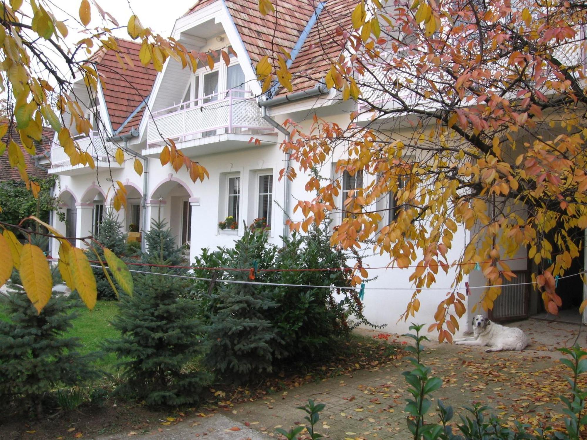 Pension Ovari Bük Extérieur photo